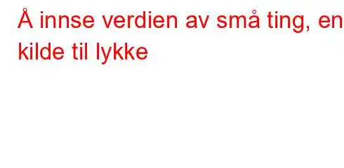 Å innse verdien av små ting, en kilde til lykke