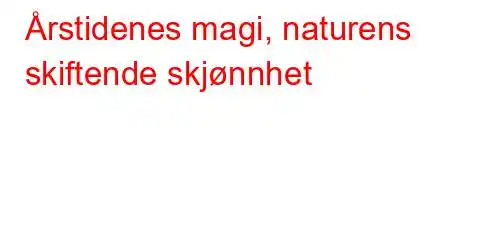 Årstidenes magi, naturens skiftende skjønnhet