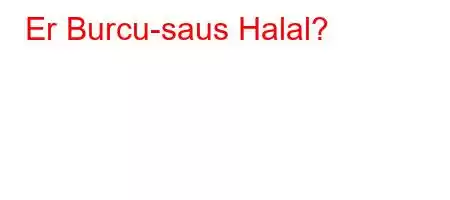 Er Burcu-saus Halal?