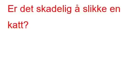 Er det skadelig å slikke en katt?