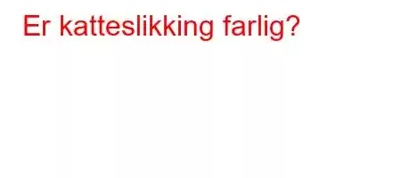 Er katteslikking farlig