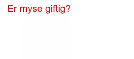 Er myse giftig