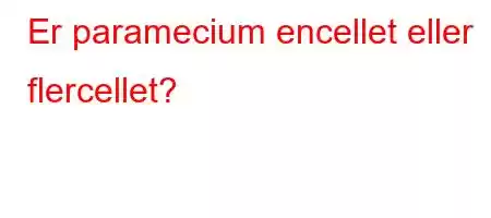 Er paramecium encellet eller flercellet?