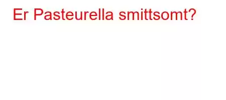 Er Pasteurella smittsomt?