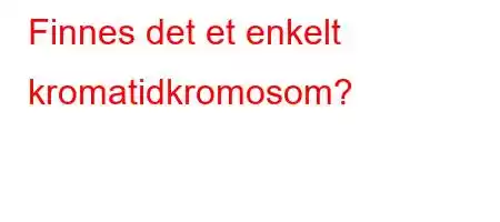 Finnes det et enkelt kromatidkromosom?