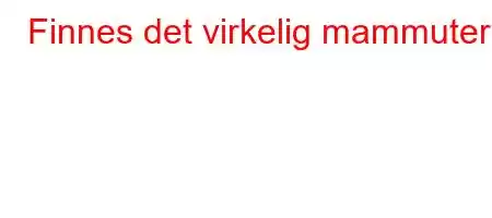 Finnes det virkelig mammuter?