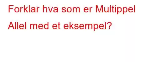 Forklar hva som er Multippel Allel med et eksempel