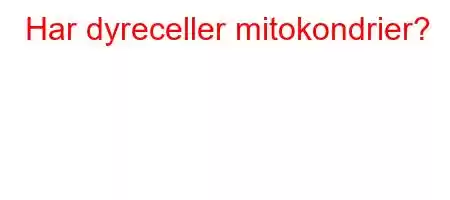 Har dyreceller mitokondrier?