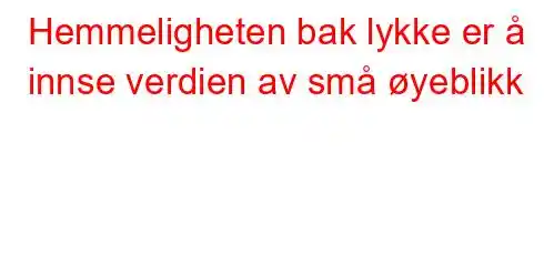 Hemmeligheten bak lykke er å innse verdien av små øyeblikk