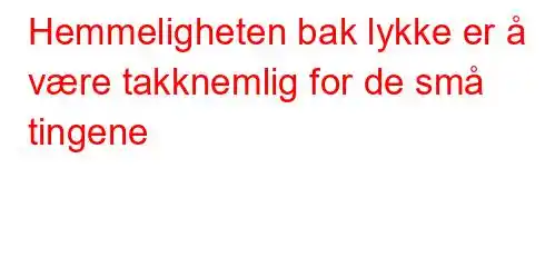 Hemmeligheten bak lykke er å være takknemlig for de små tingene