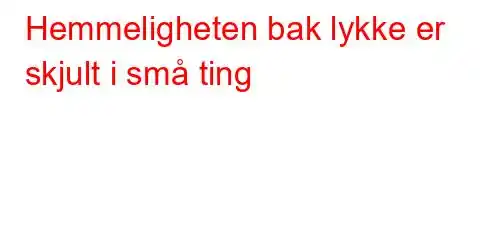 Hemmeligheten bak lykke er skjult i små ting