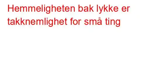 Hemmeligheten bak lykke er takknemlighet for små ting