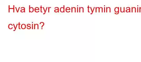 Hva betyr adenin tymin guanin cytosin?