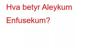 Hva betyr Aleykum Enfusekum?