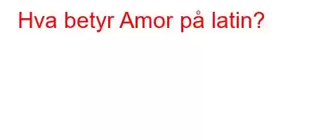 Hva betyr Amor på latin?