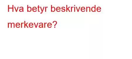 Hva betyr beskrivende merkevare?