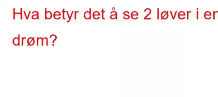 Hva betyr det å se 2 løver i en drøm?