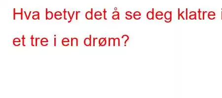 Hva betyr det å se deg klatre i et tre i en drøm