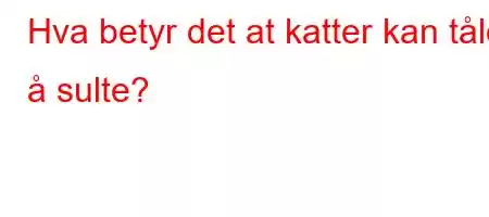 Hva betyr det at katter kan tåle å sulte?