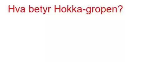 Hva betyr Hokka-gropen?