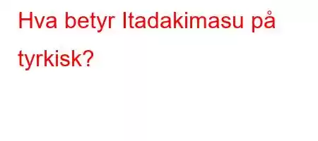 Hva betyr Itadakimasu på tyrkisk?