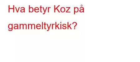 Hva betyr Koz på gammeltyrkisk?