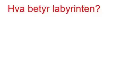 Hva betyr labyrinten