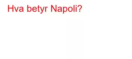 Hva betyr Napoli?