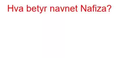 Hva betyr navnet Nafiza