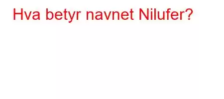 Hva betyr navnet Nilufer?