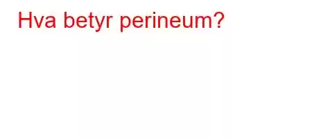 Hva betyr perineum?