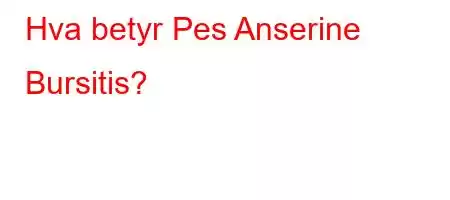 Hva betyr Pes Anserine Bursitis?