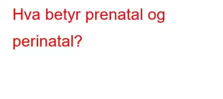 Hva betyr prenatal og perinatal?