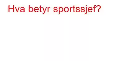 Hva betyr sportssjef