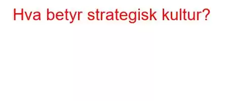 Hva betyr strategisk kultur?