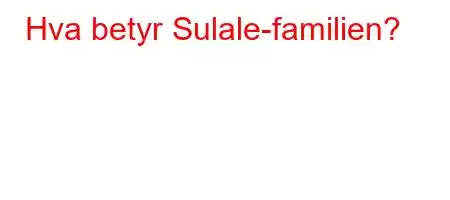 Hva betyr Sulale-familien?