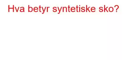 Hva betyr syntetiske sko?