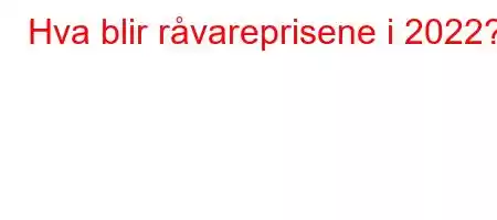 Hva blir råvareprisene i 2022?