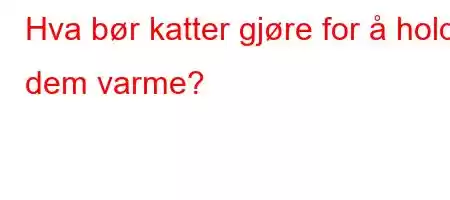 Hva bør katter gjøre for å holde dem varme?