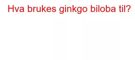 Hva brukes ginkgo biloba til?