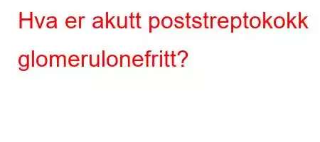 Hva er akutt poststreptokokk glomerulonefritt?