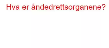 Hva er åndedrettsorganene