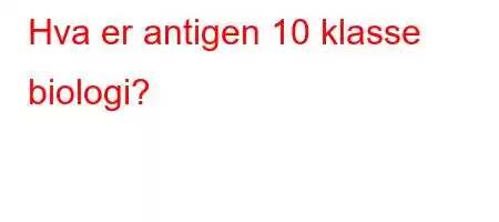 Hva er antigen 10 klasse biologi