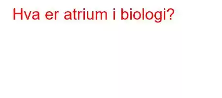 Hva er atrium i biologi