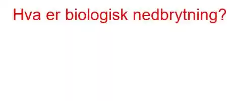 Hva er biologisk nedbrytning?