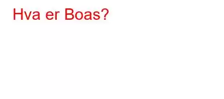 Hva er Boas