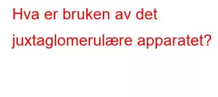 Hva er bruken av det juxtaglomerulære apparatet?