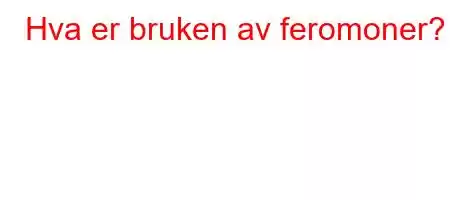 Hva er bruken av feromoner