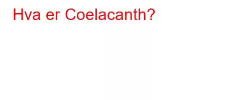 Hva er Coelacanth