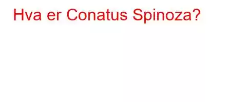 Hva er Conatus Spinoza?